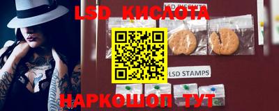 стафф Бийск