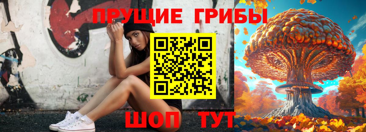 Касимов  Псилоцибиновые грибы Psilocybine cubensis  Псилоцибиновые грибы ЛСД  дарнет шоп  Вход с VPN 