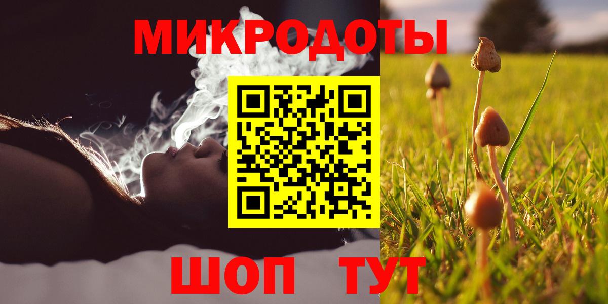 Галлюциногенные грибы Psilocybe Касимов