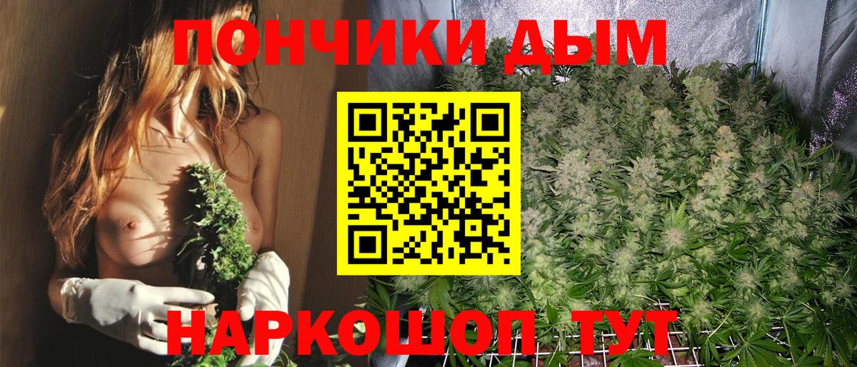 Марихуана OG Kush Касимов